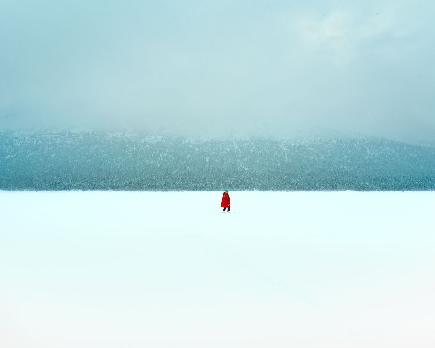 Alaska Landscapes by North and Wild