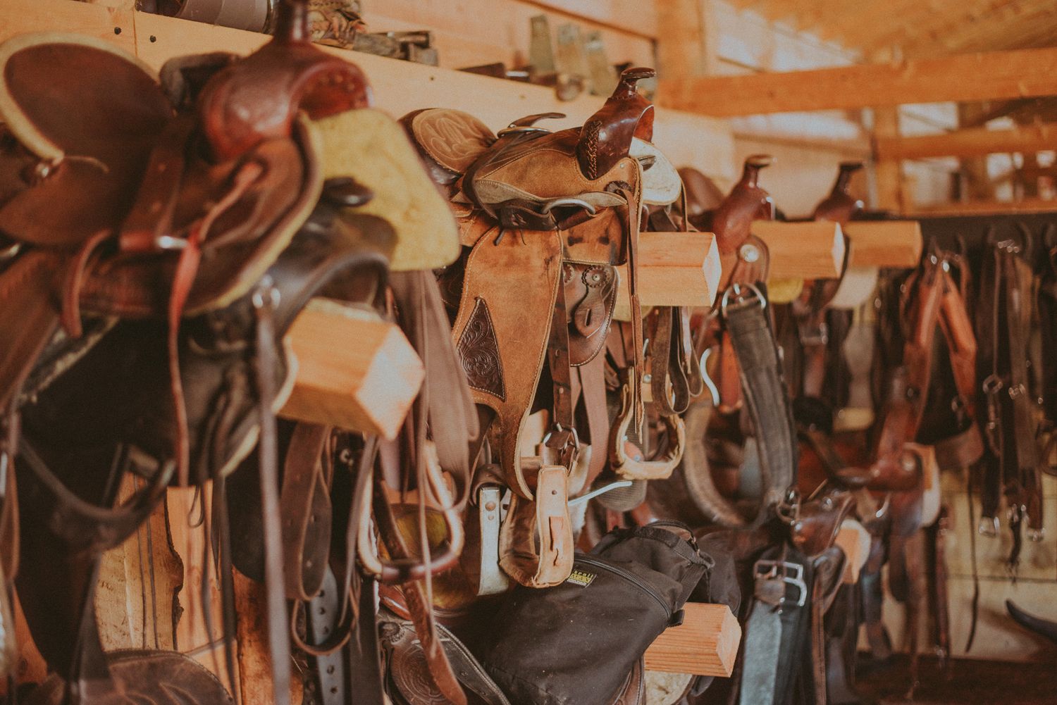 Ranch Branding and Photography by North and Wild, Sunderland Ranch