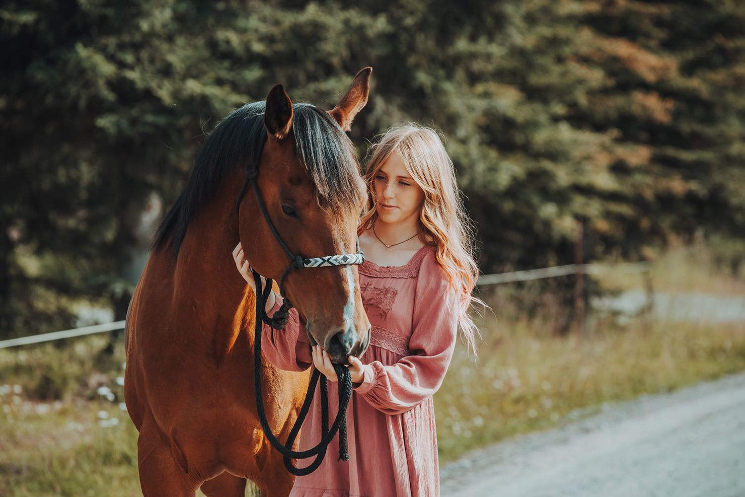 North and Wild Photography Horse and Rider Equine Portraits