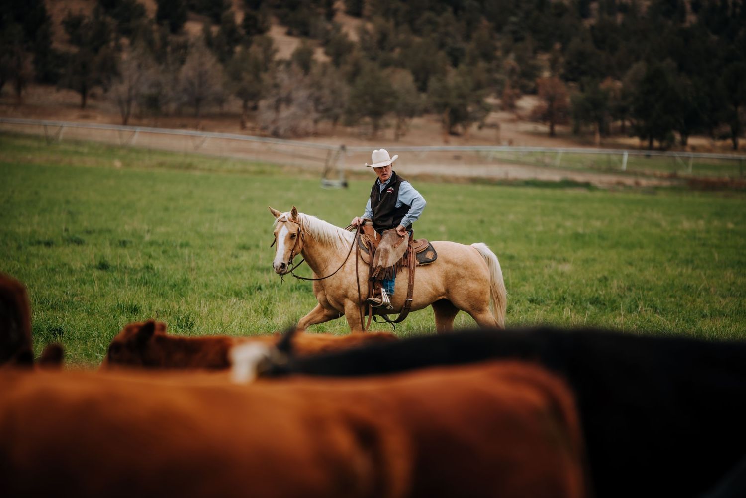 Equine and Owner Portrait Photography by North and Wild in Kansas