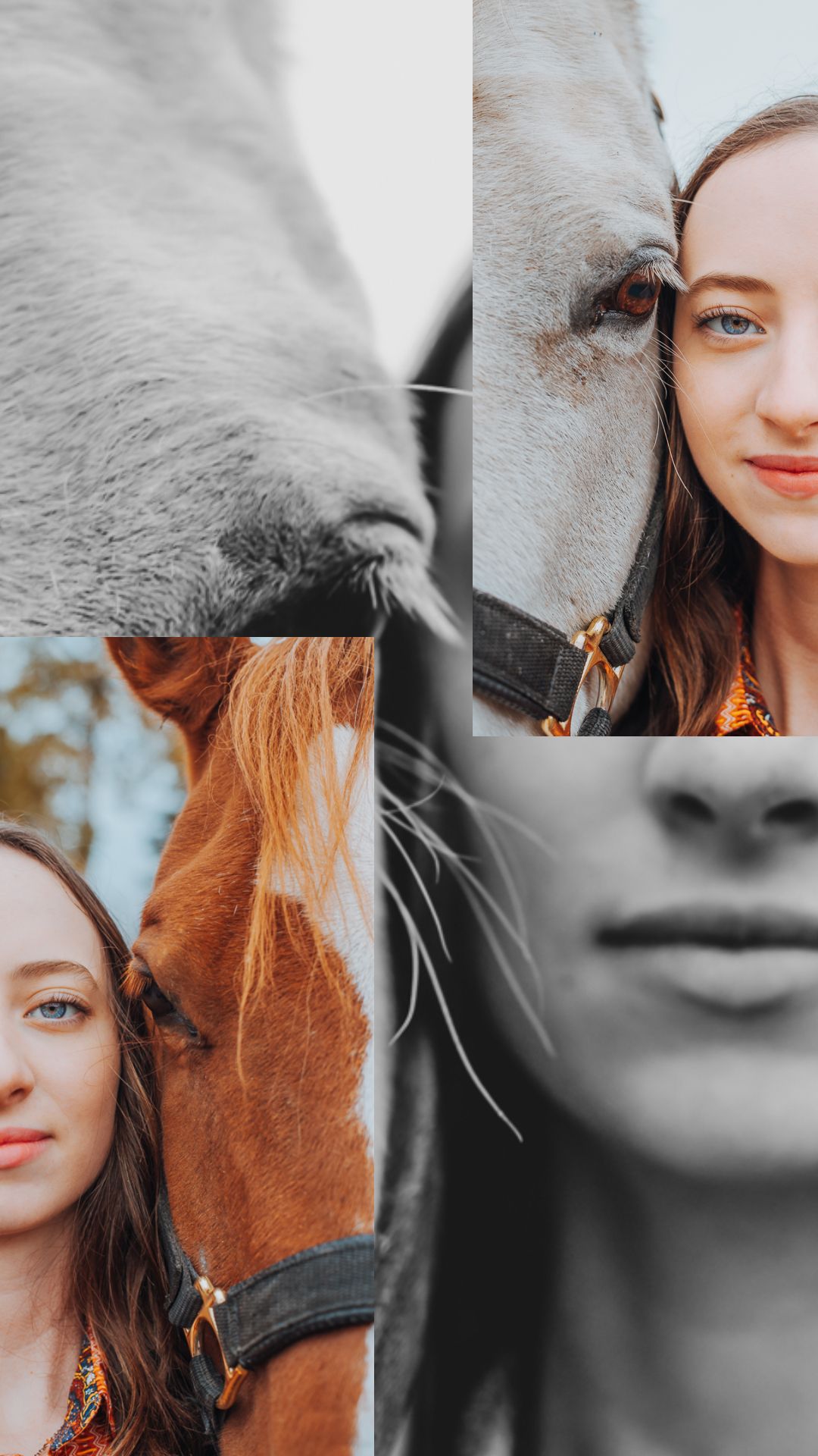 Equine and Owner Portrait Photography by North and Wild in Alaska
