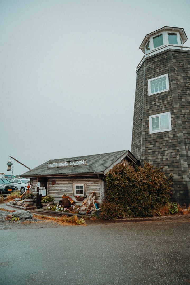 Alaska Landscapes by North and Wild, Lazy Dog Salon Homer Alaska