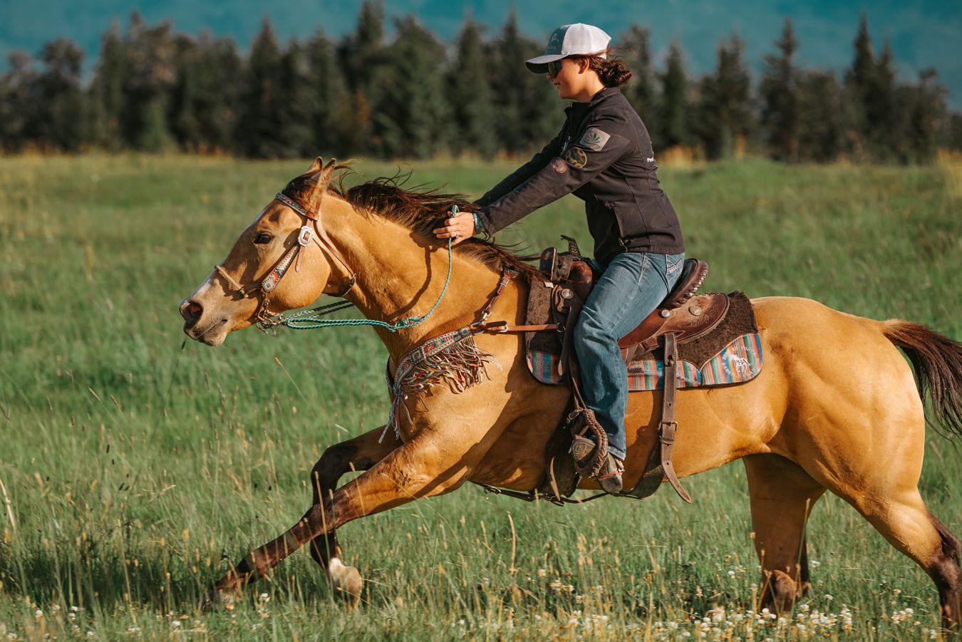 Equine horse Photography in Alaska by North and Wild