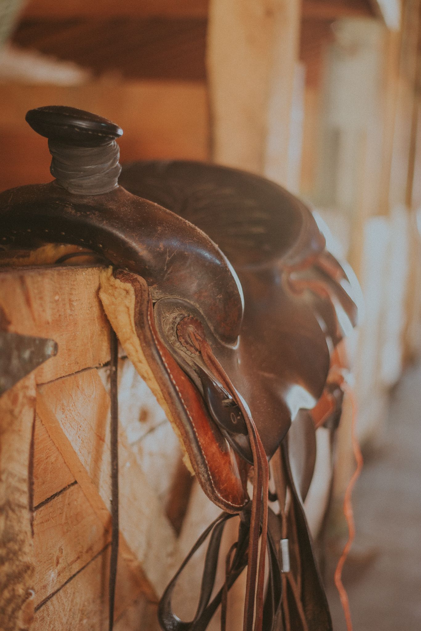 Ranch Branding and Photography by North and Wild