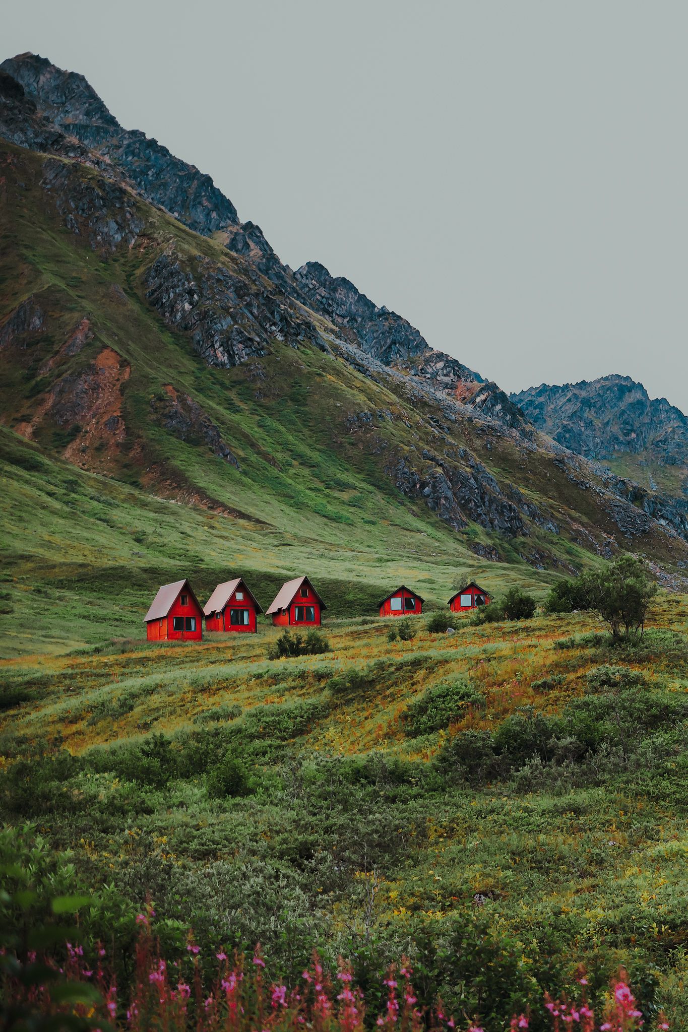 Alaska Landscapes by North and Wild