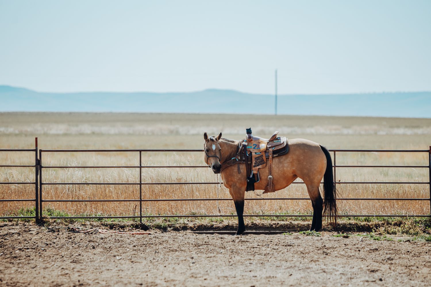 Equine and Owner Portrait Photography by North and Wild in Kansas