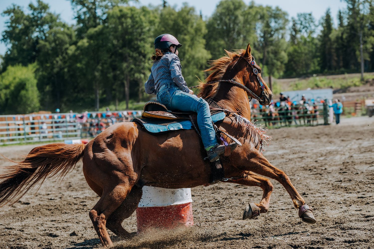Ninichik Alaska barrel racer captured by North and Wild