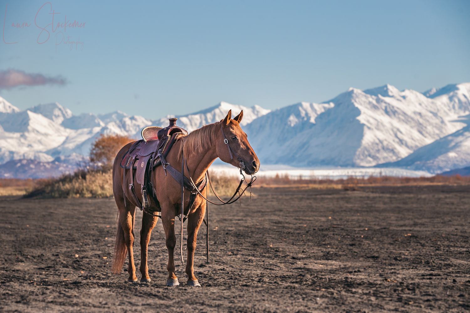 Horses and riders stand against a dramatic mountain backdrop with snow-capped peaks.