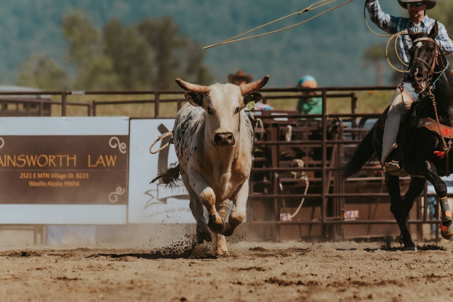 Rodeo Photographer captures Rodeo Alaska, Image by North and Wild