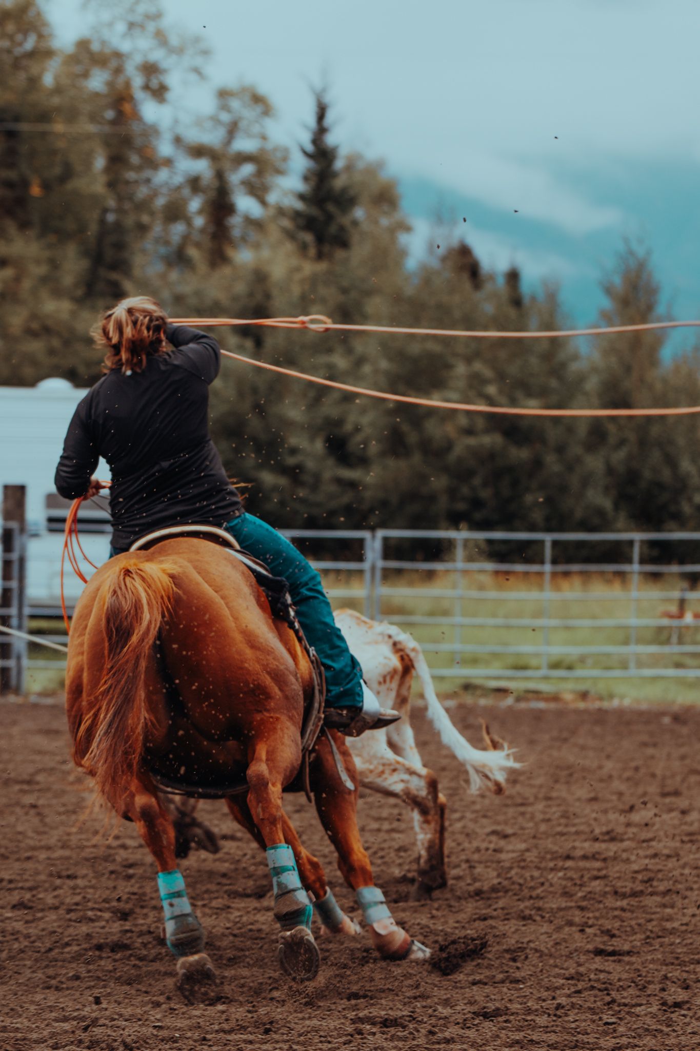 Rodeo Photographer captures Rodeo Alaska, Image by North and Wild