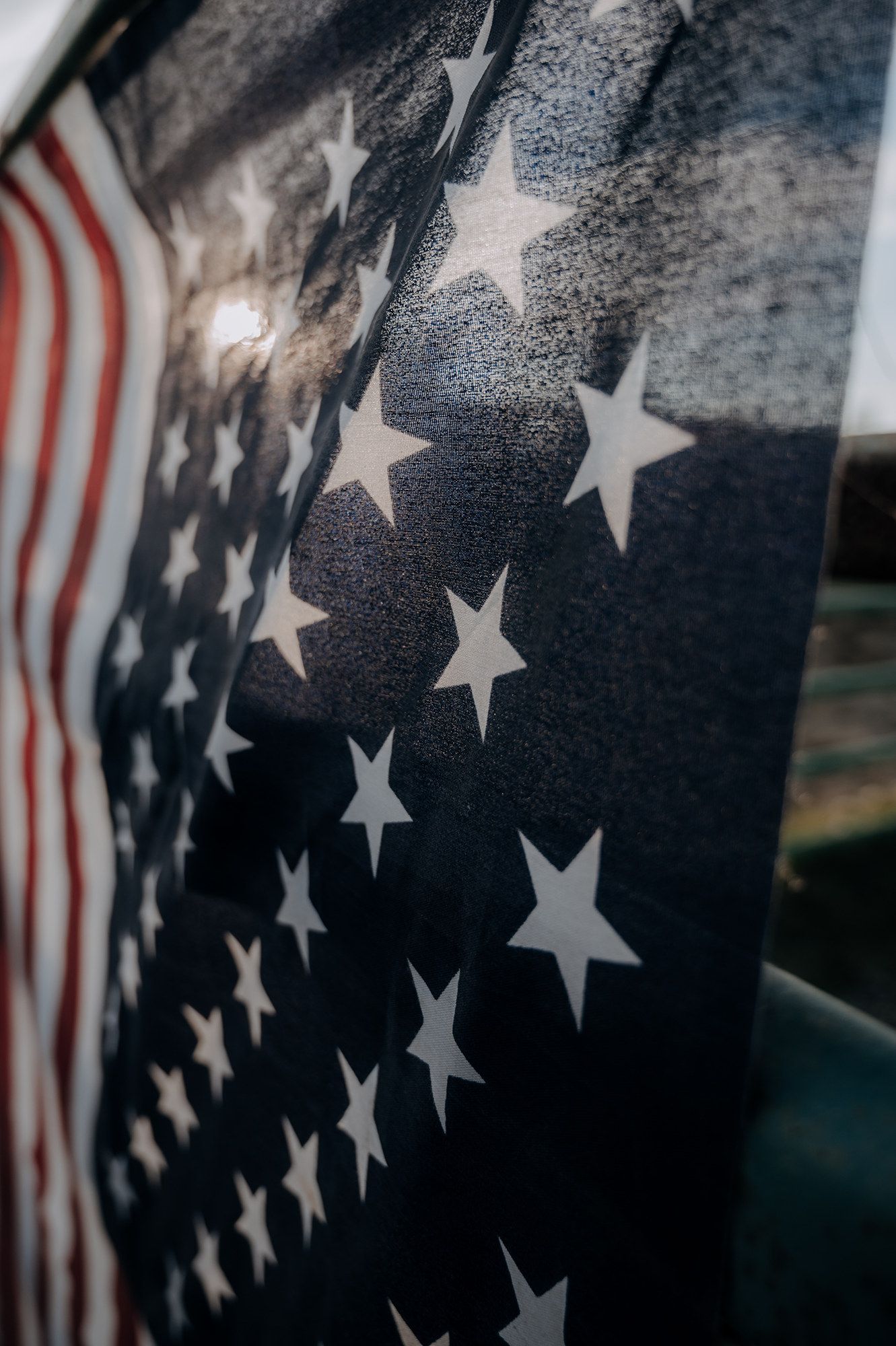 American Flag North and Wild
