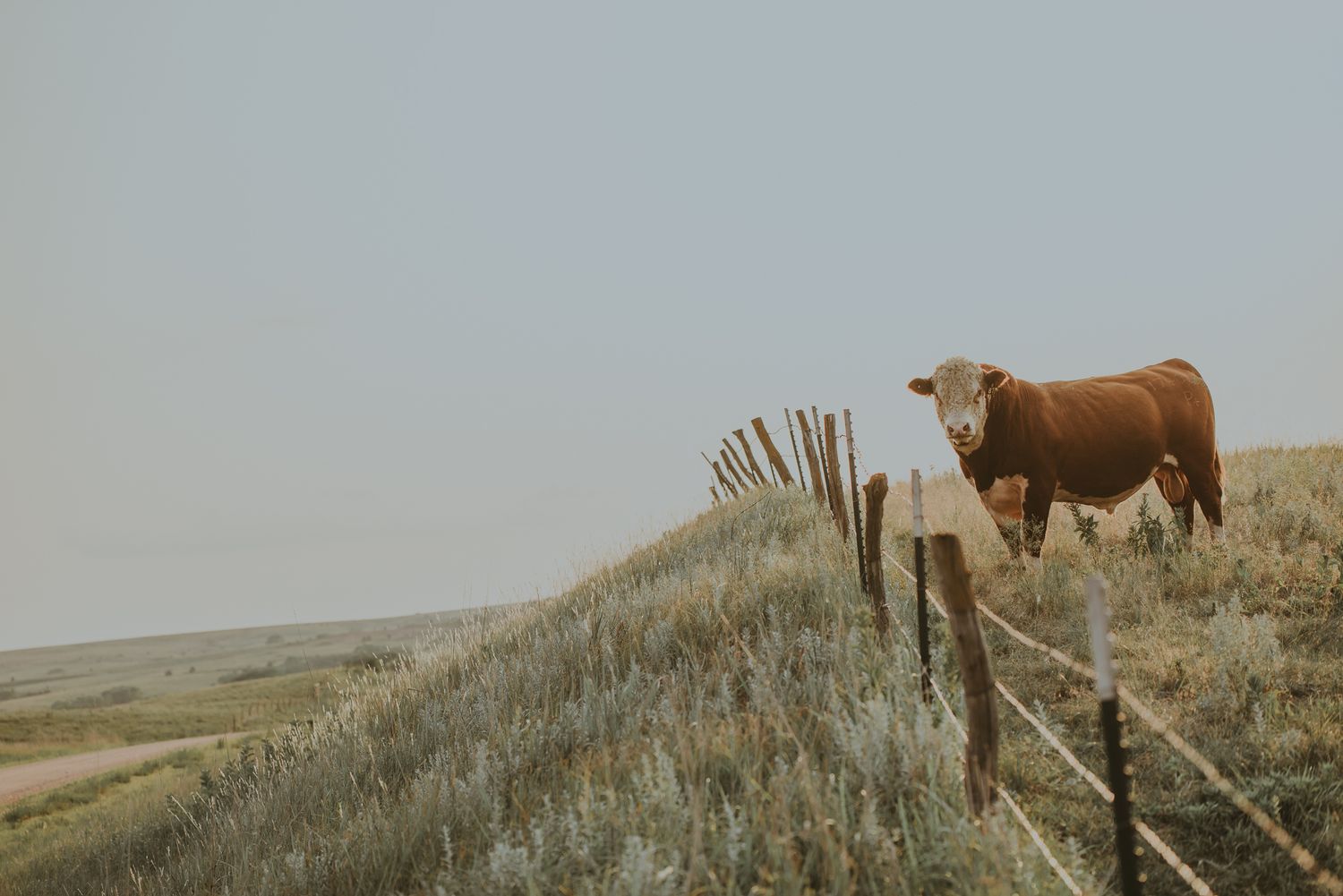 Kansas Landscapes by North and Wild