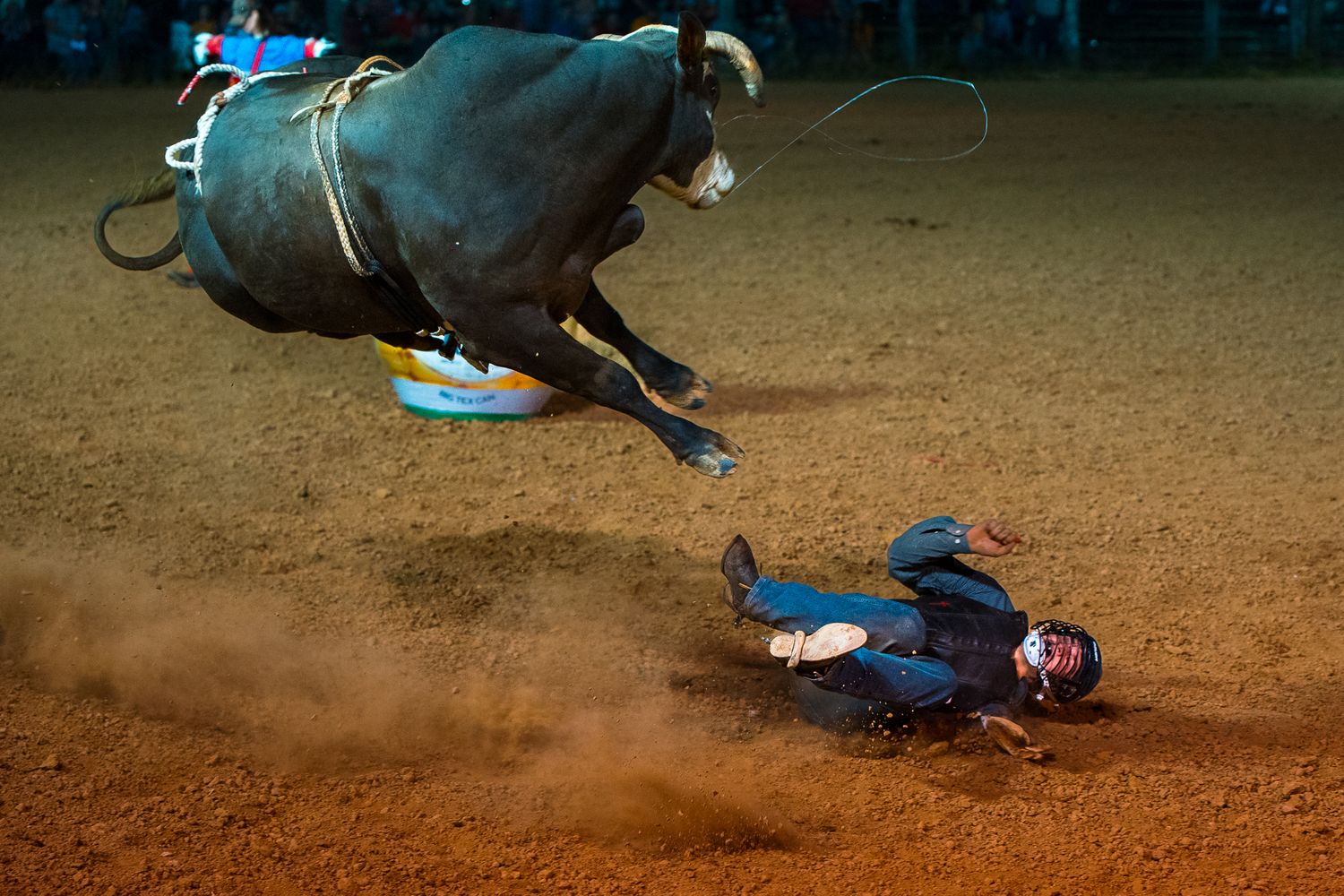 Bull rider gets thrown during intense nighttime rodeo competition.
