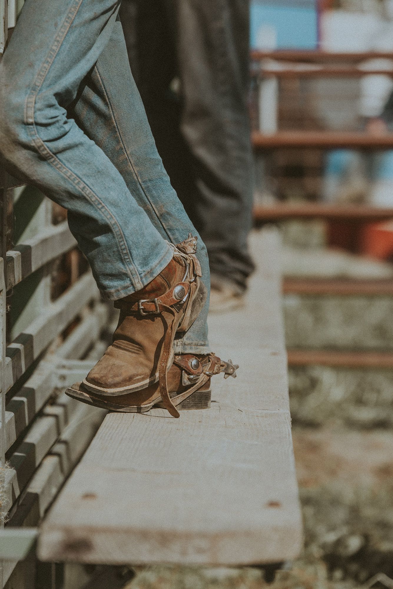 Spurs and Rodeo in Ninichik Alaska by North and Wild