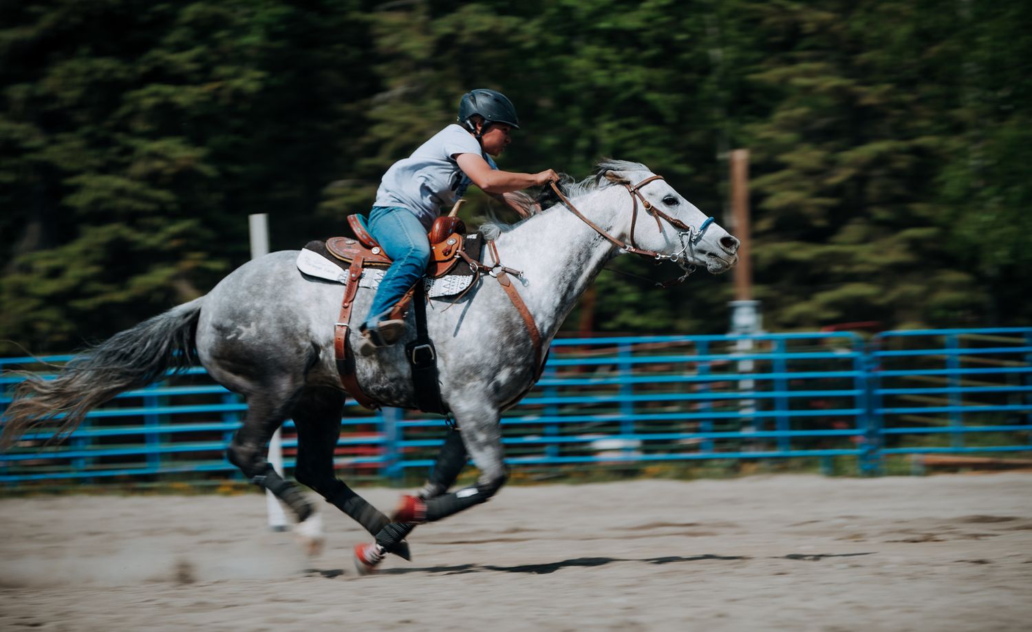 Rodeo North and Wild in Alaska
