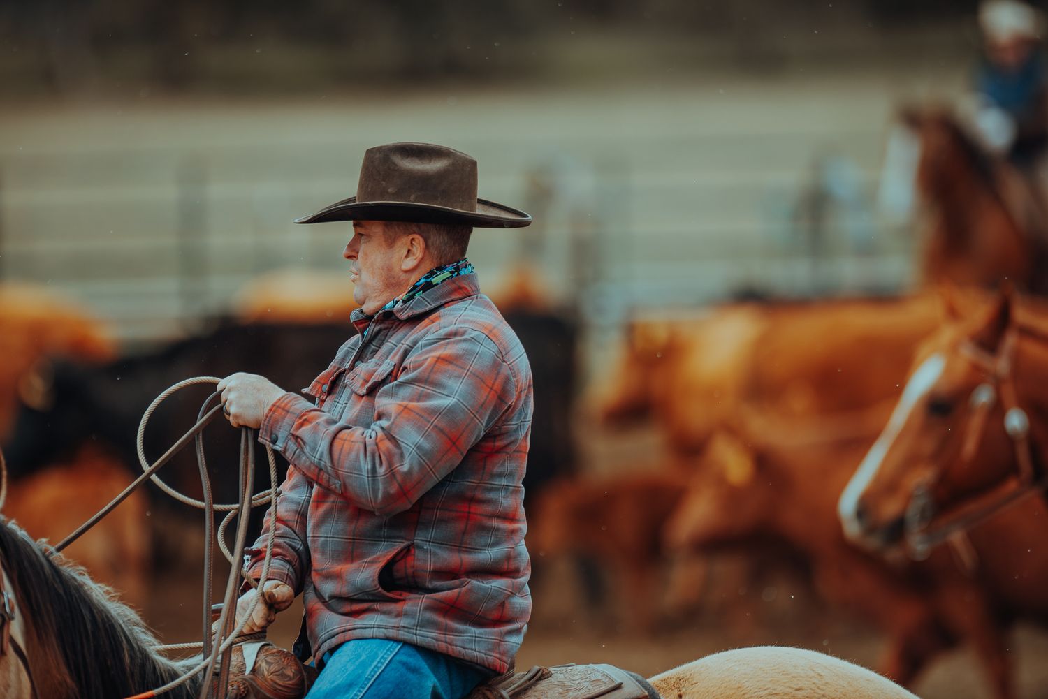 Cattle Branding in Oregon by North and Wild