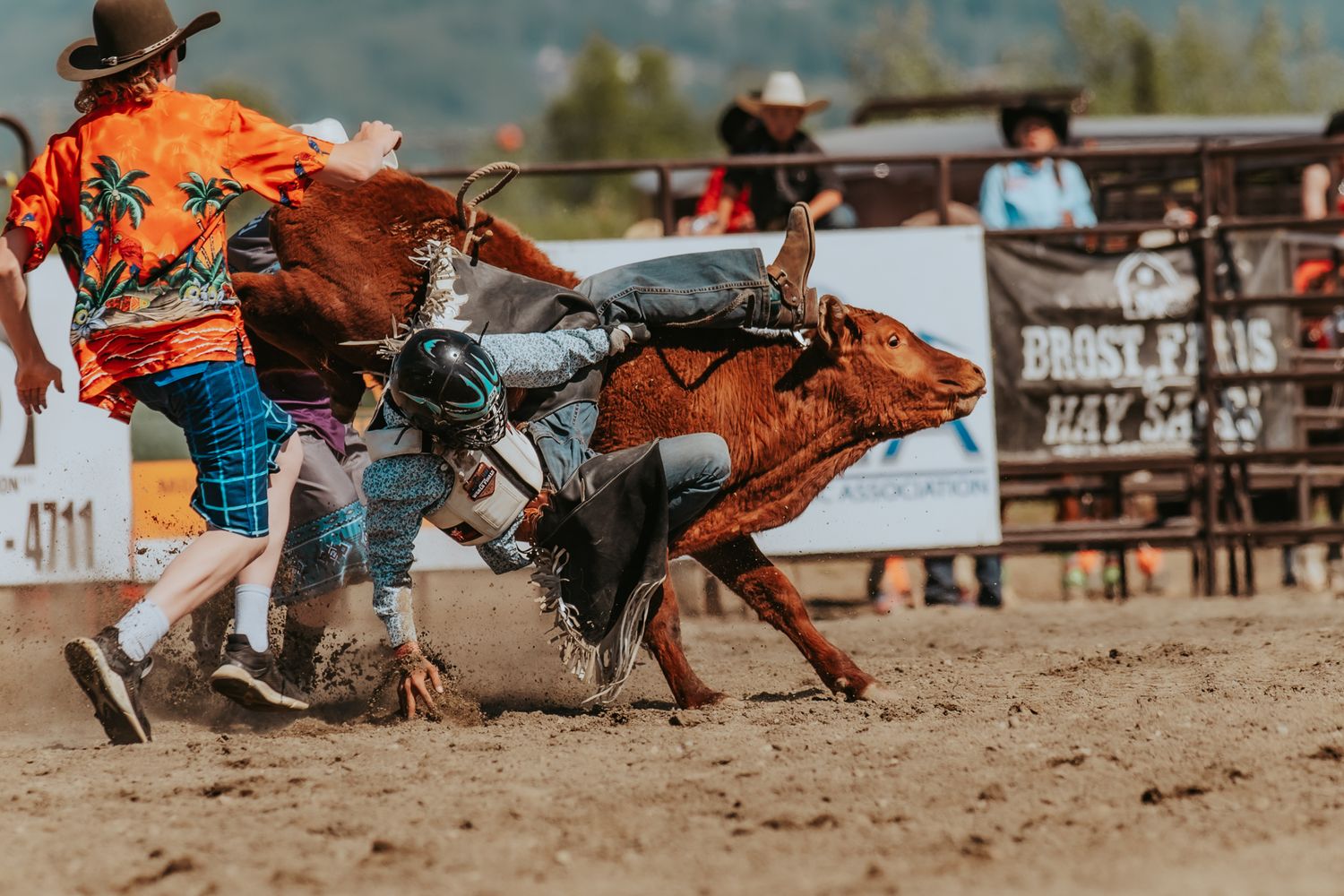 Rodeo Photographer captures Rodeo Alaska, Image by North and Wild