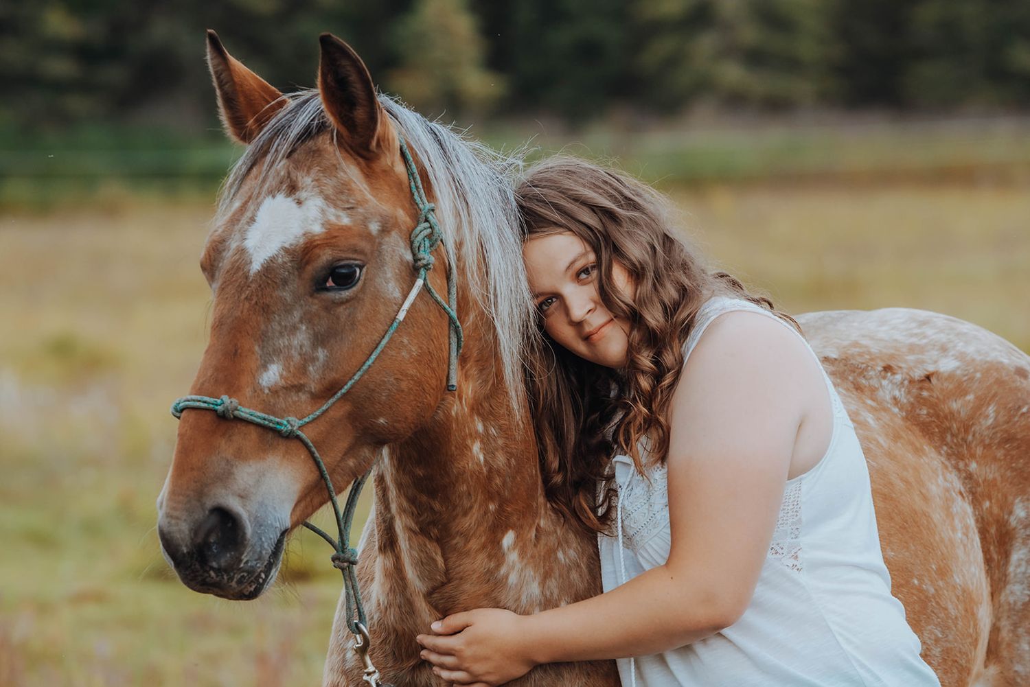 North and Wild Photography Horse and Rider Equine Portraits