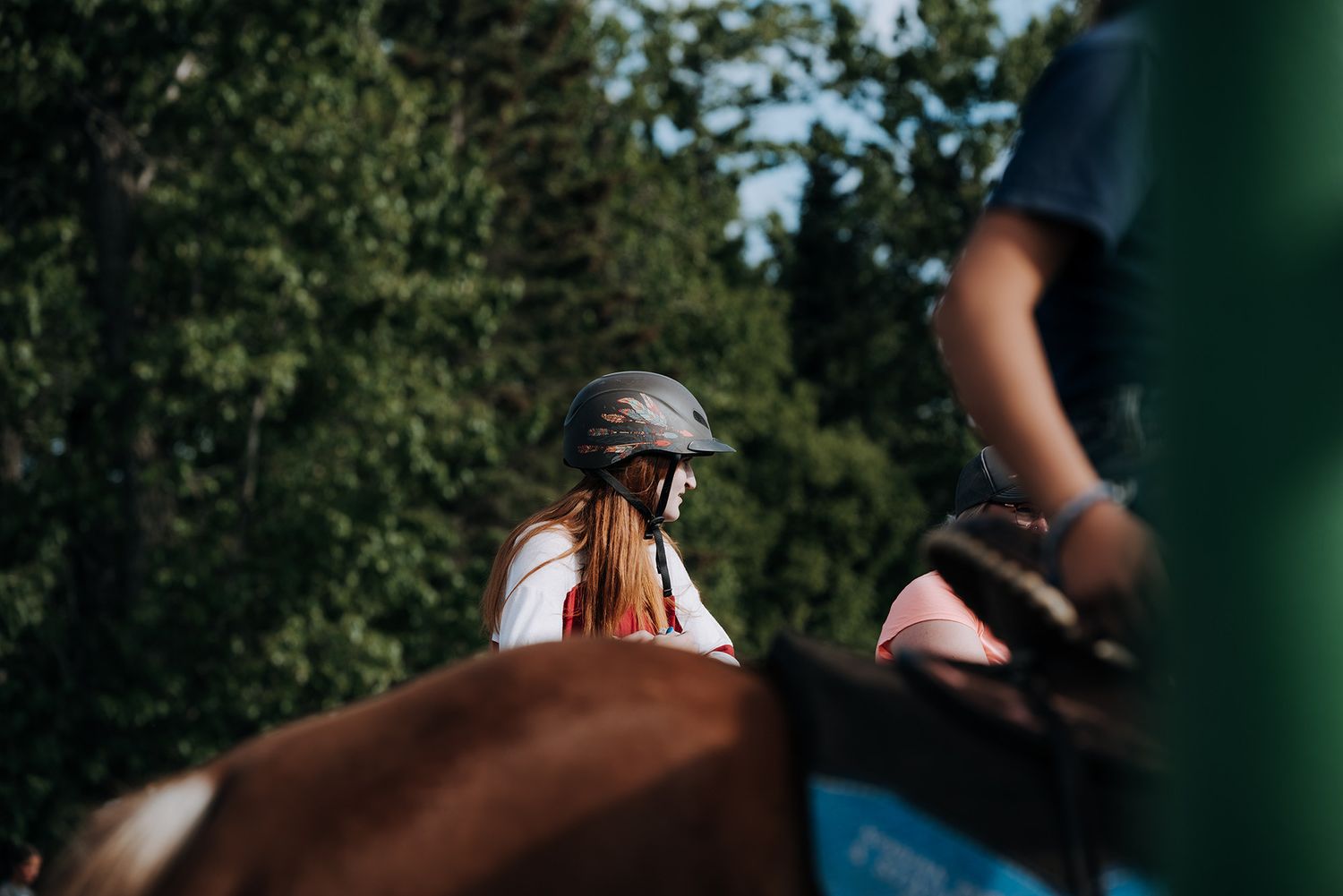 Rodeo North and Wild