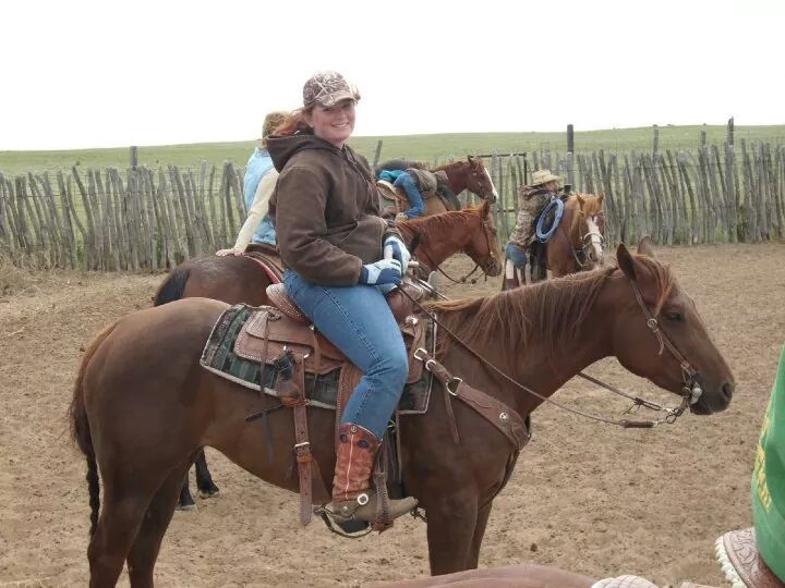 Riders on horseback working cattle in a dusty ranch corral.