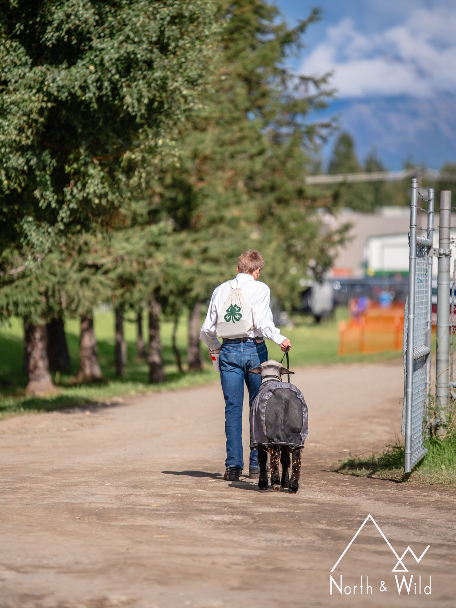 Livestock Photography by North and Wild in Alaska