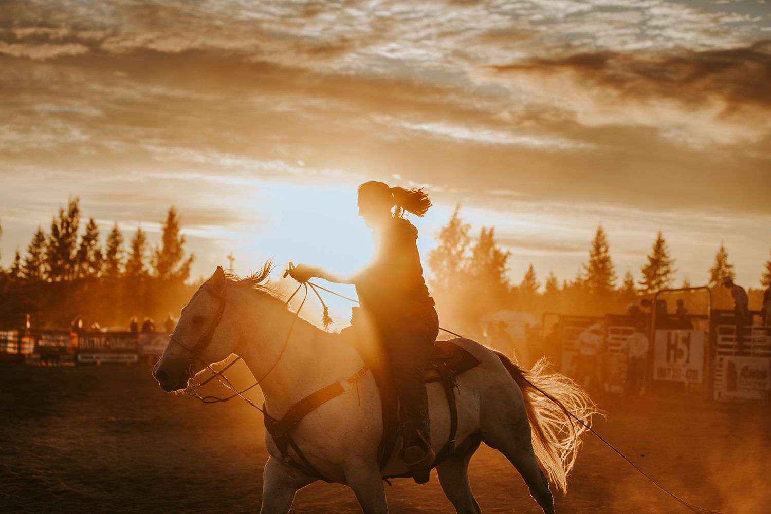 Cowgirl Alaska Rodeo Photographer Image by North and Wild