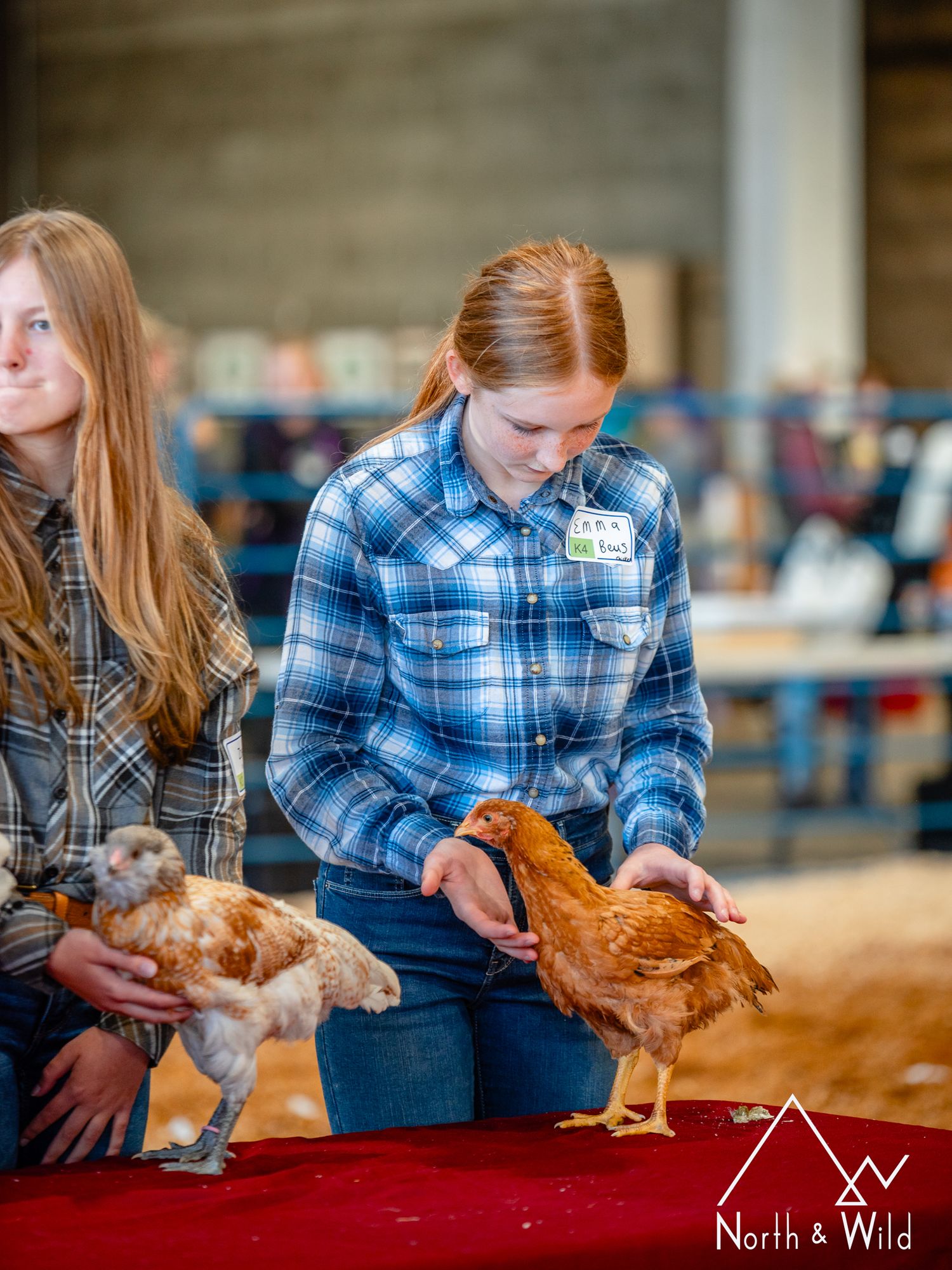 Livestock Photography by North and Wild in Alaska