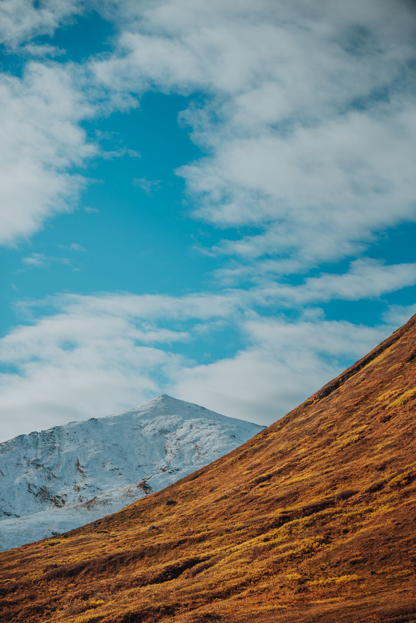 Alaska Landscapes by North and Wild