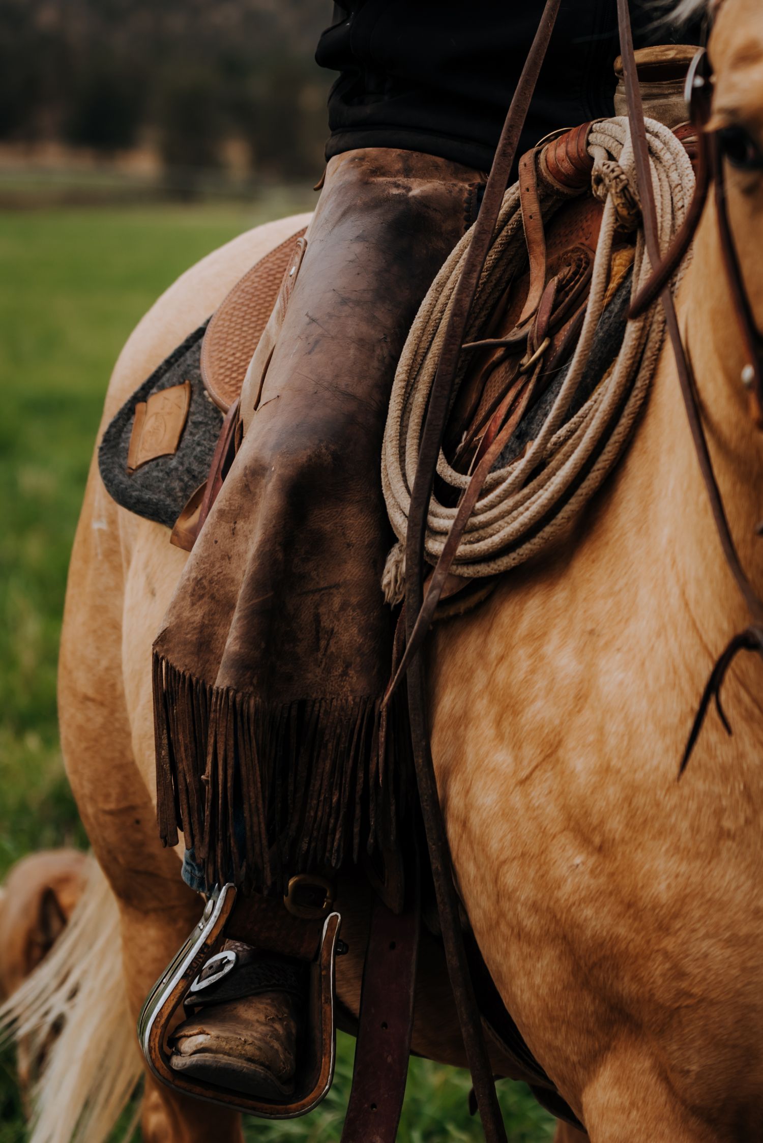 Equine and Owner Portrait Photography by North and Wild in Kansas