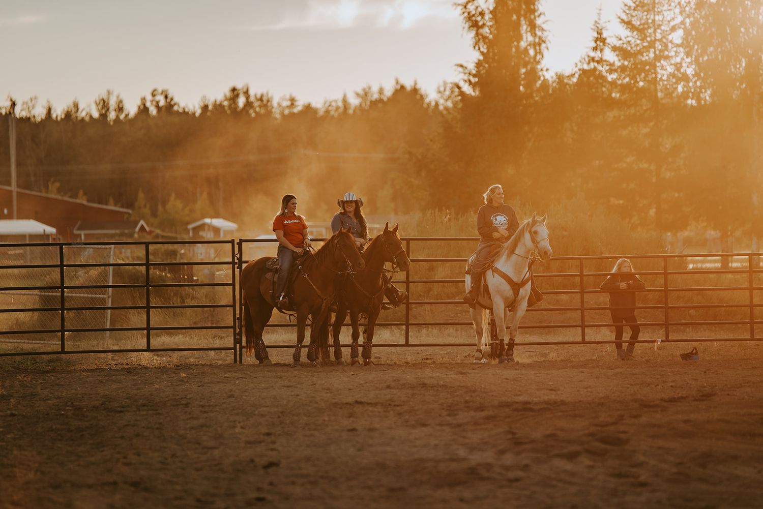 Alaska Rodeo Photographer Image by North and Wild