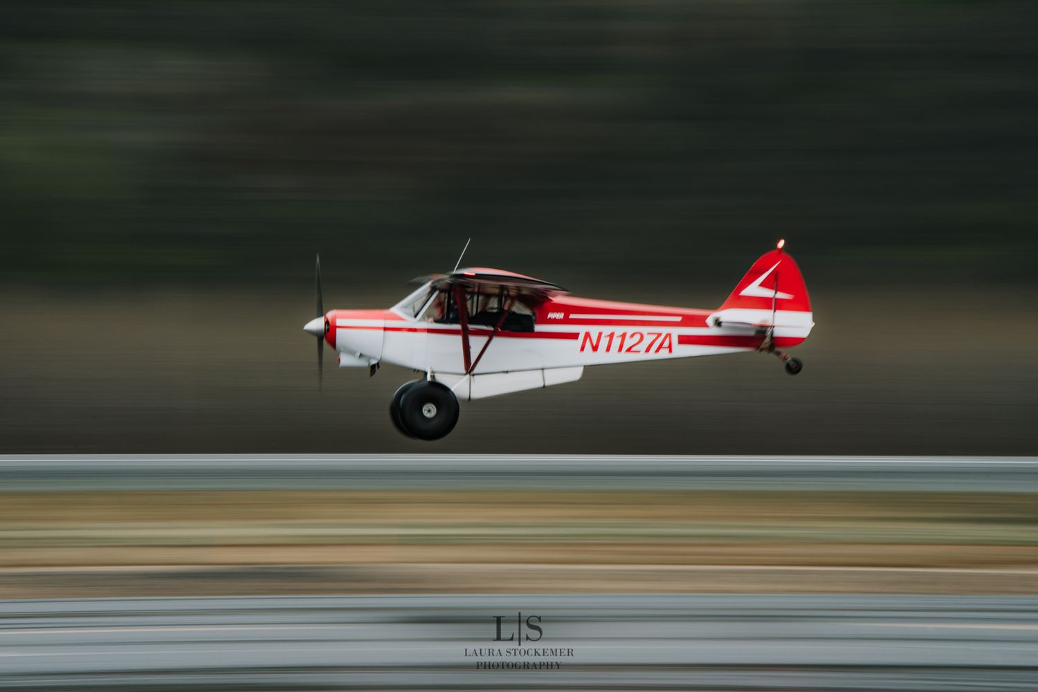Event Photographer in Alaska North and Wild