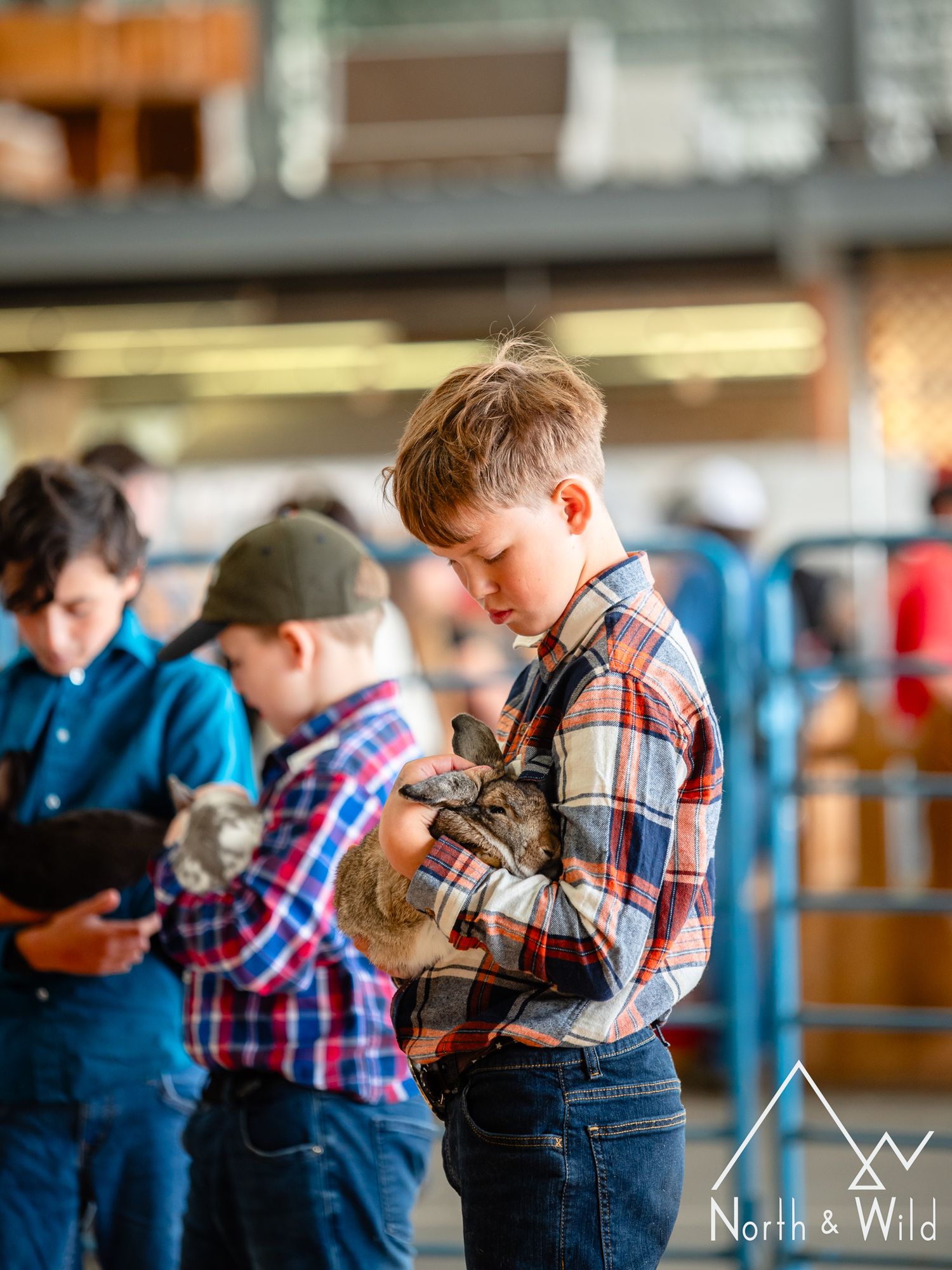 Livestock Photography by North and Wild in Alaska