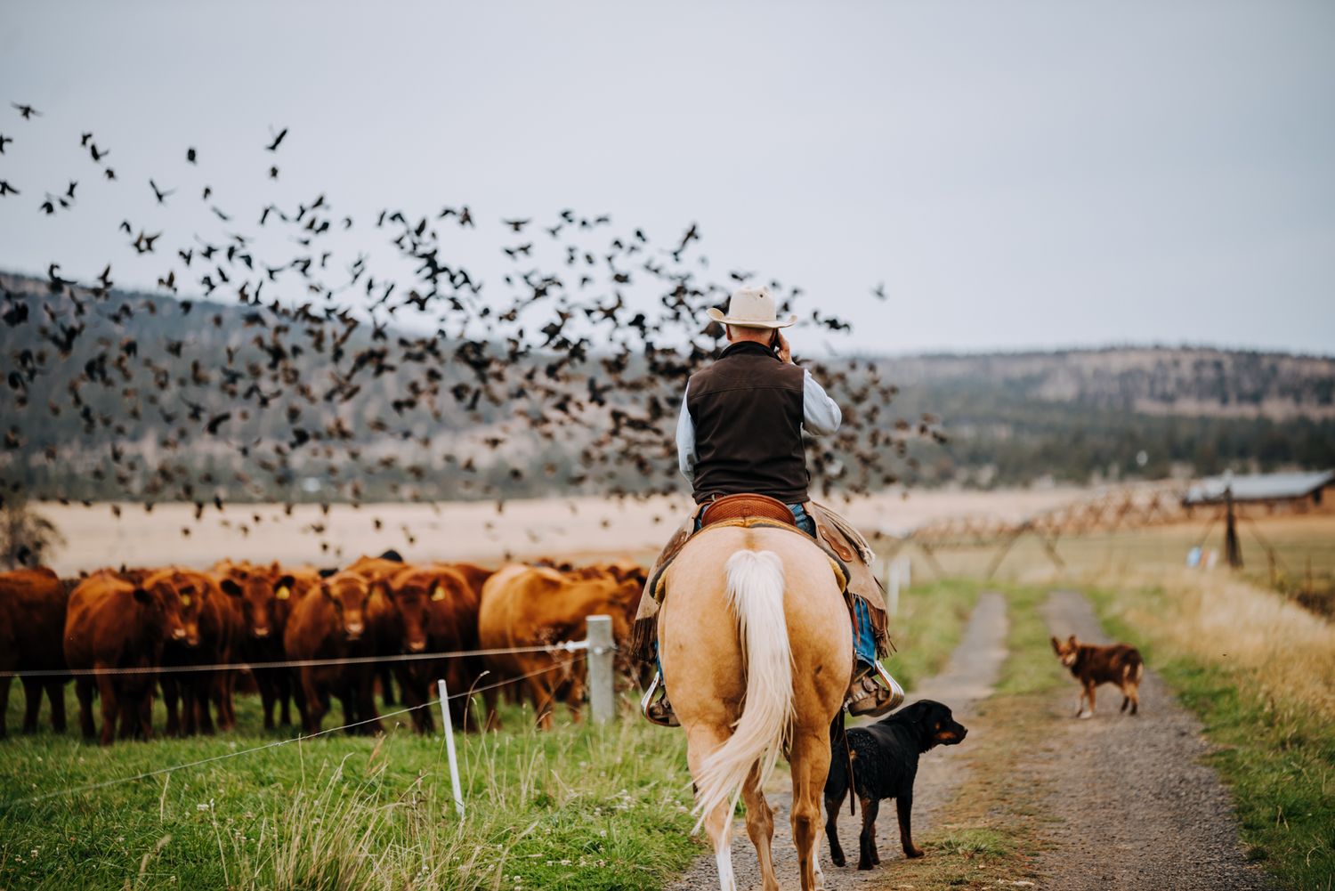 Equine and Owner Portrait Photography by North and Wild in Kansas