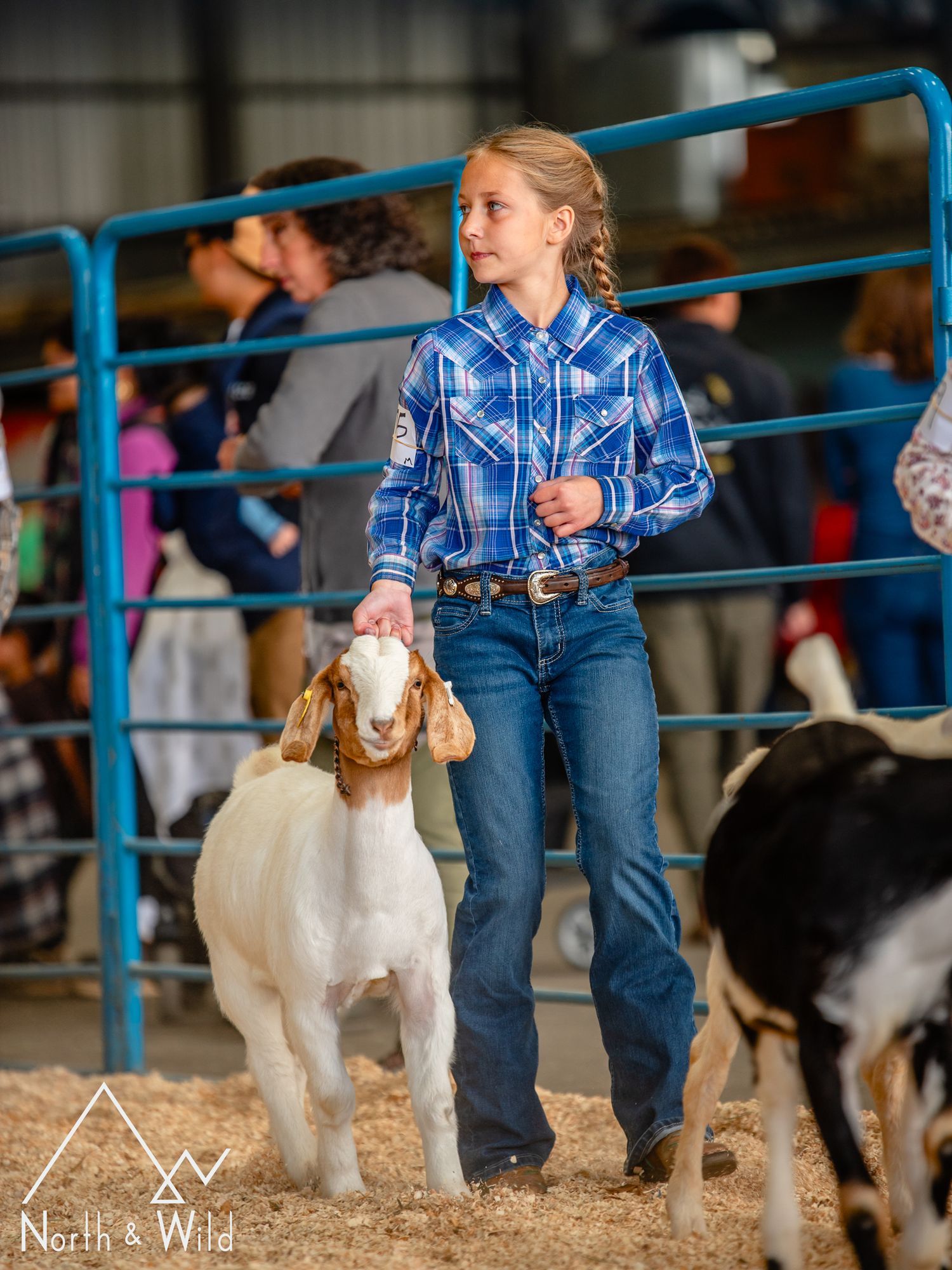 Livestock Photography by North and Wild in Alaska