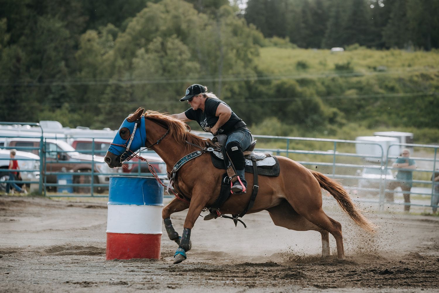 Rodeo North and Wild