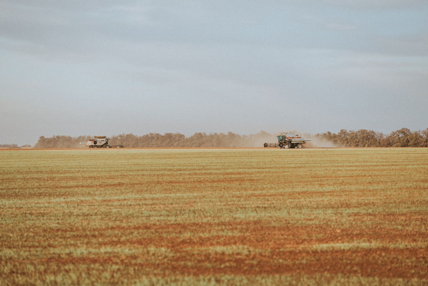 Kansas Landscapes by North and Wild, Farmer and Tractor in Field