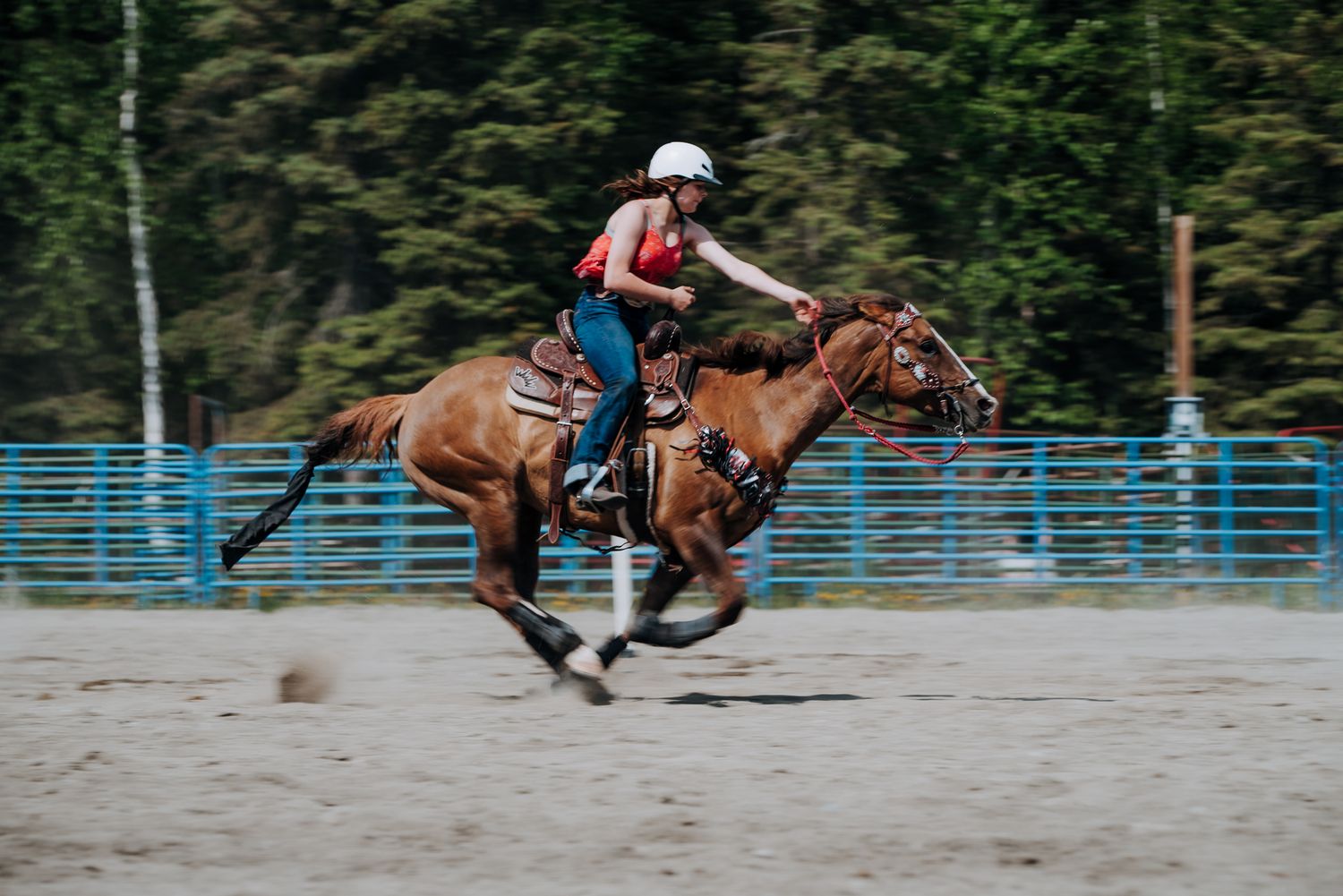 Rodeo North and Wild in Alaska