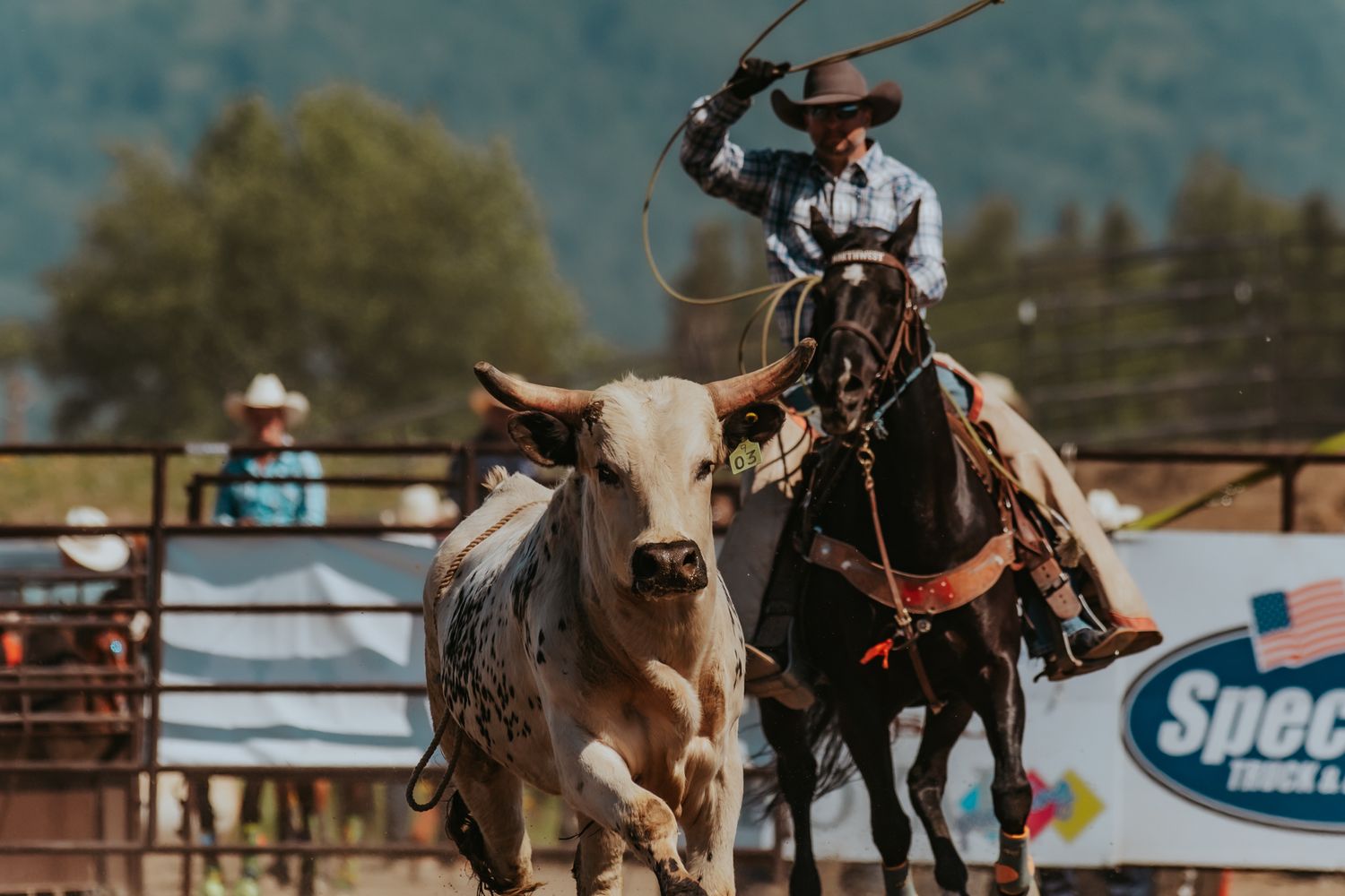 Rodeo Photographer captures Rodeo Alaska, Image by North and Wild