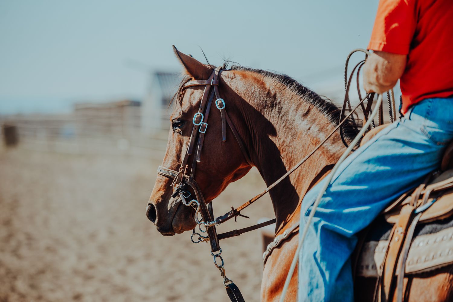 Equine and Owner Portrait Photography by North and Wild in Kansas