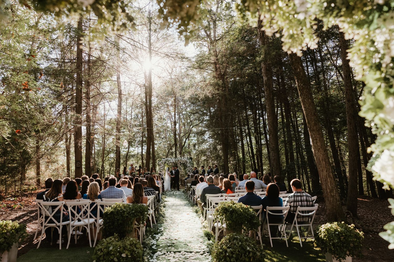 Guests seated on white chairs along a sunlit forest path during an outdoor wedding ceremony among tall trees.