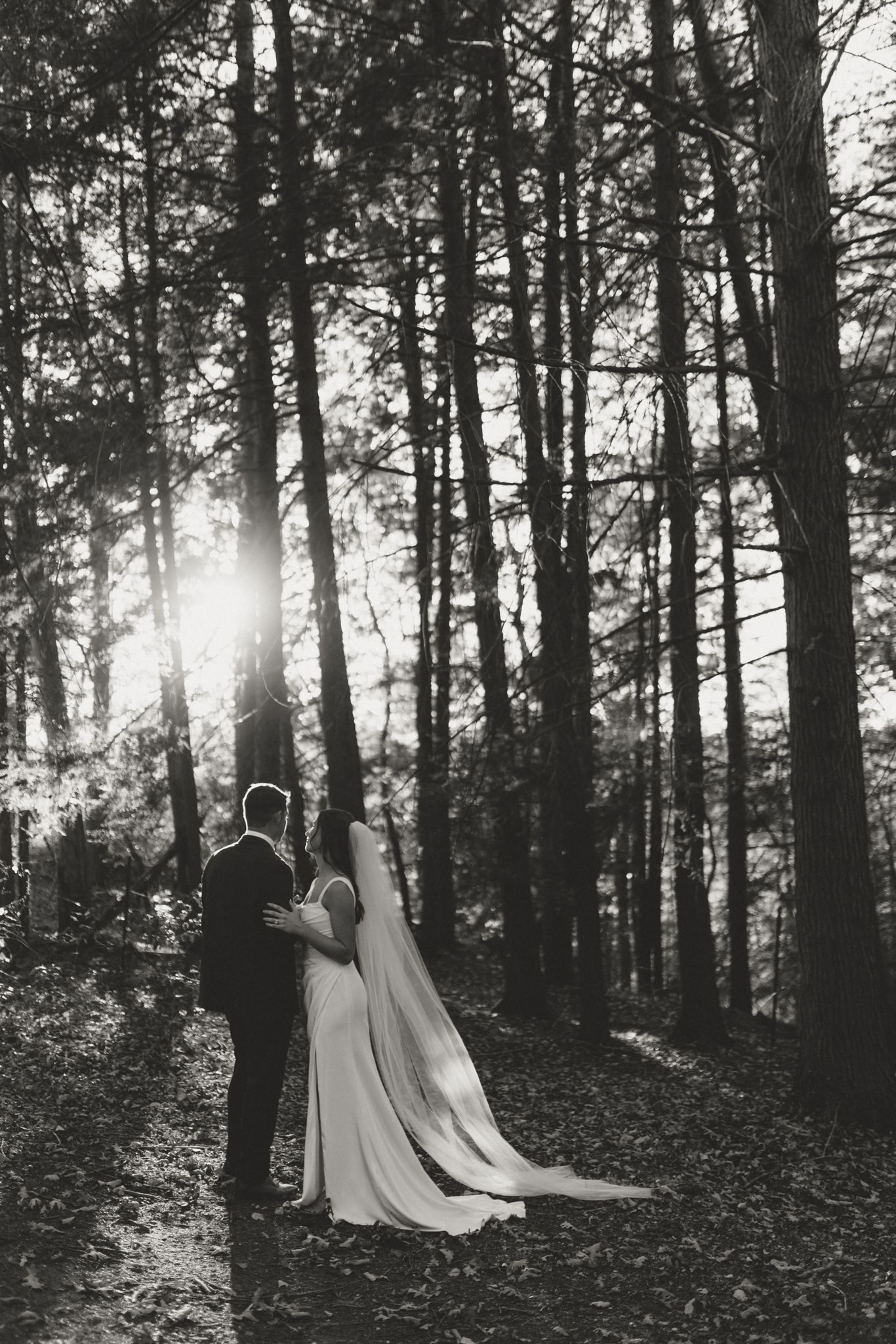 Silhouette of newlyweds in a sunlit forest with flowing wedding dress.