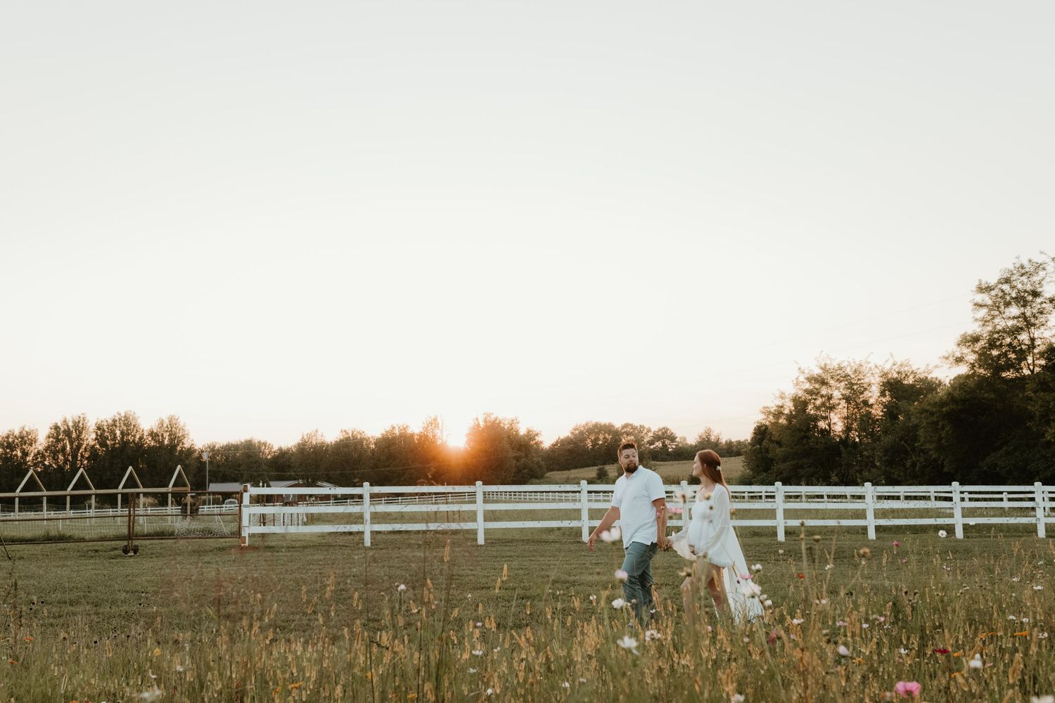 Sun setting behind white fence and trees with golden light filtering through tall grass in field.