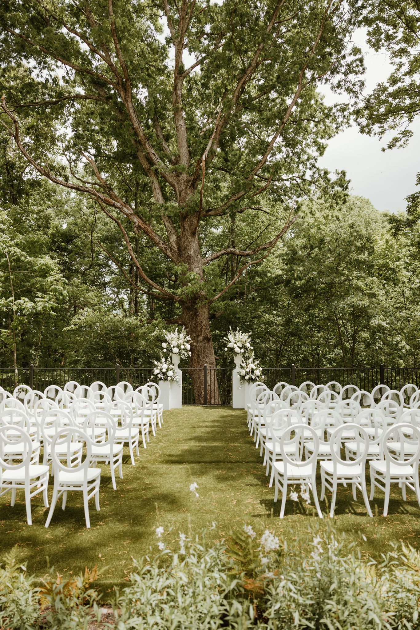 White chairs arranged in rows for an outdoor wedding ceremony beneath a majestic tree.