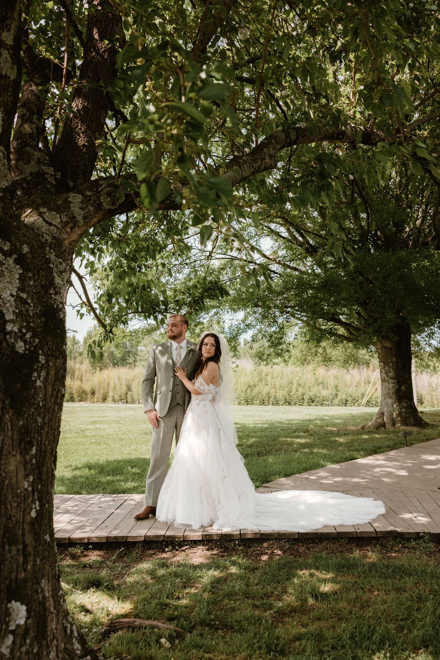 Wedding photo session under large trees with a couple in white and gray attire.