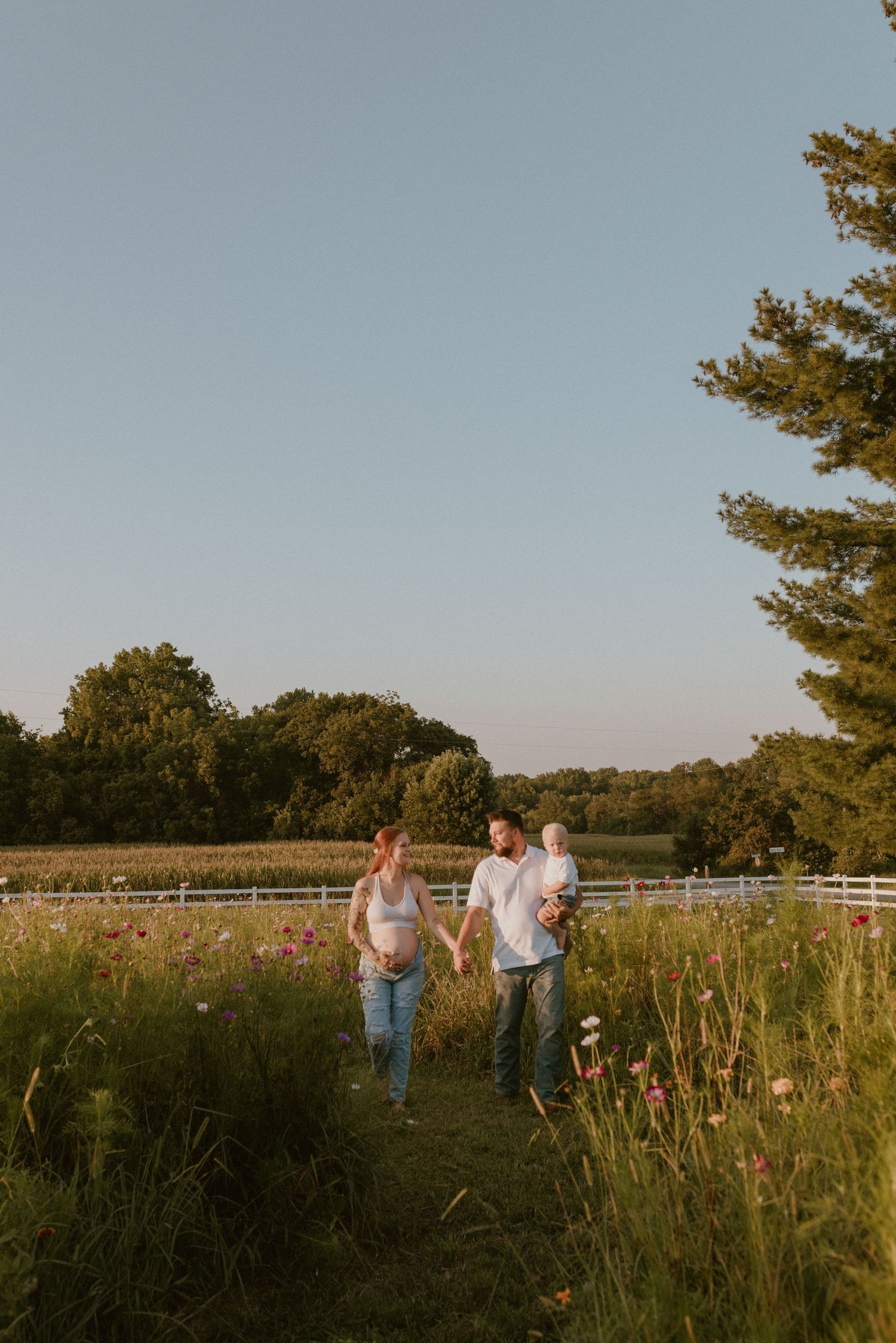 A scenic field at sunset with wildflowers and a white fence in the background.