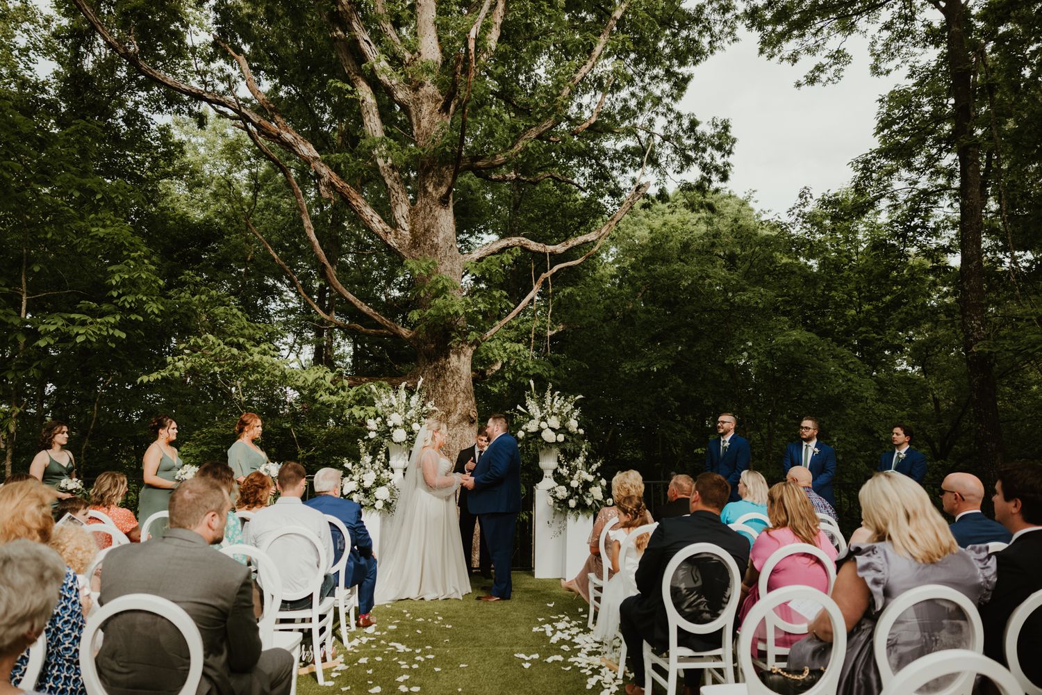 An outdoor wedding ceremony with guests seated in white chairs beneath a towering tree.