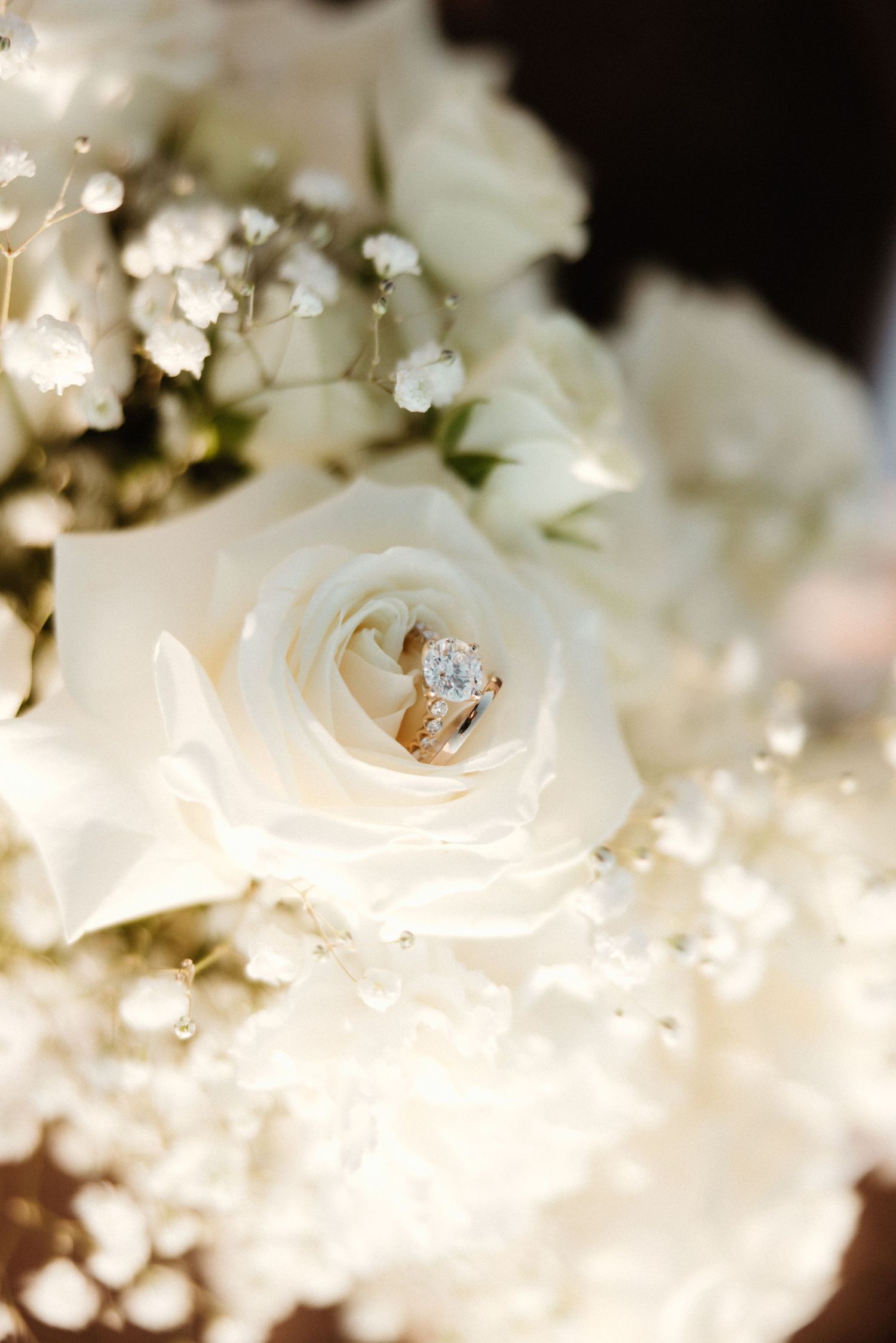 White wedding roses with delicate baby's breath flowers create an elegant bridal bouquet against a dark background.