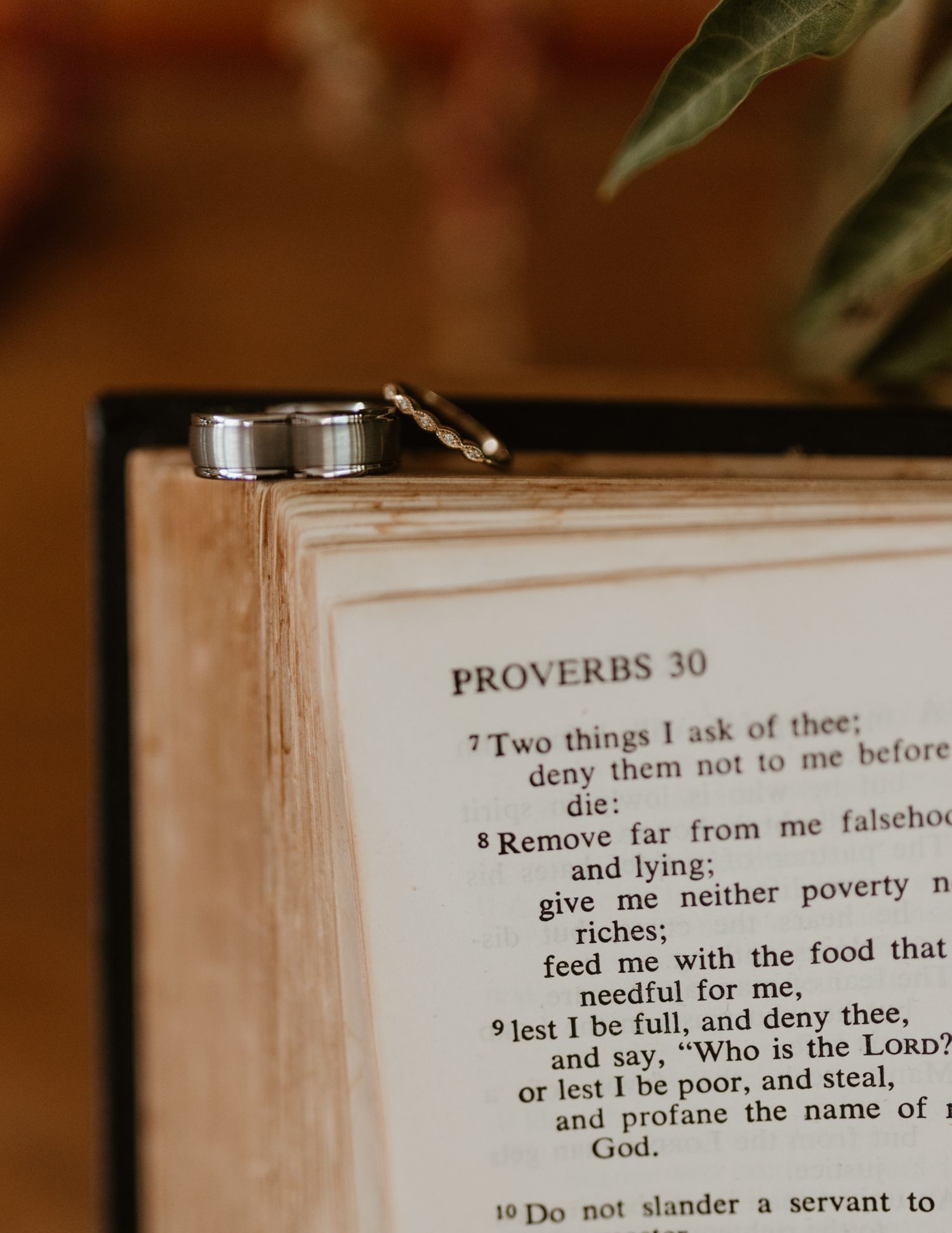 Wedding rings rest on an open Bible page showing Proverbs 30 verses about truth and falsehood.