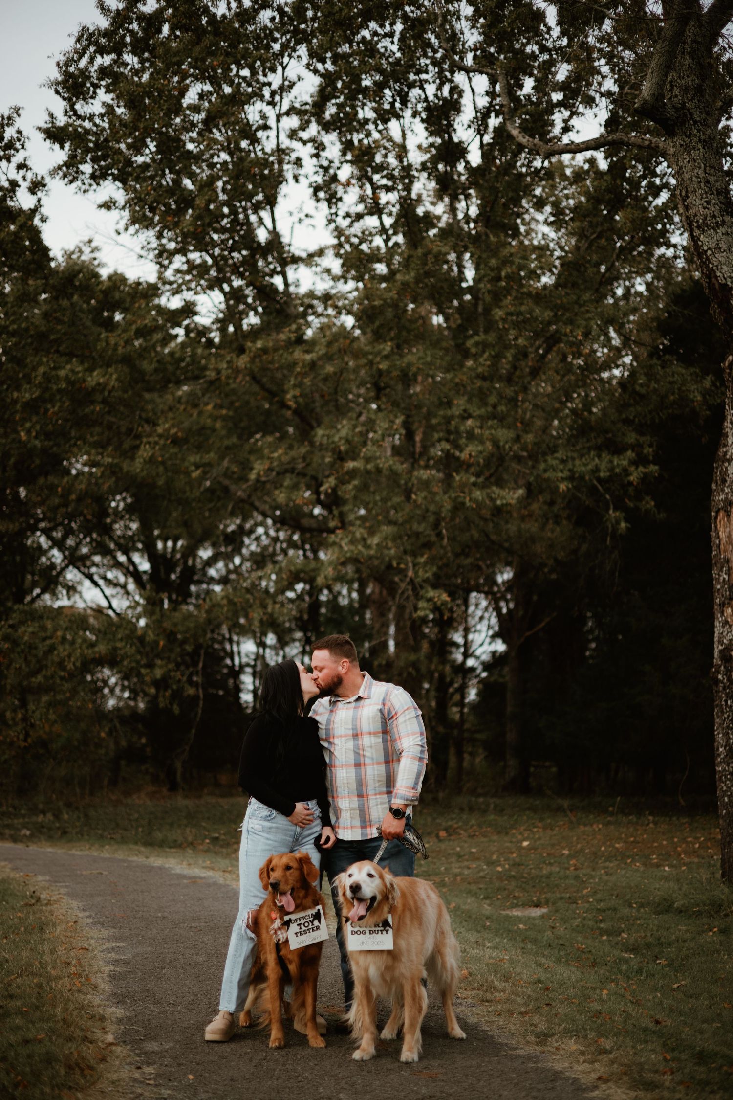 Two dogs sit beside their owners in a wooded outdoor setting at sunset.