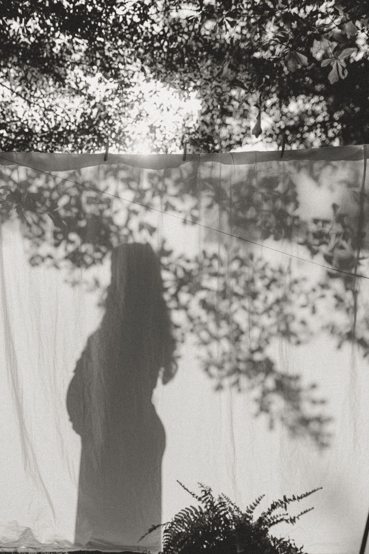 A silhouette of a long-haired figure appears against a white curtain with leaf shadows creating a dreamy atmosphere.